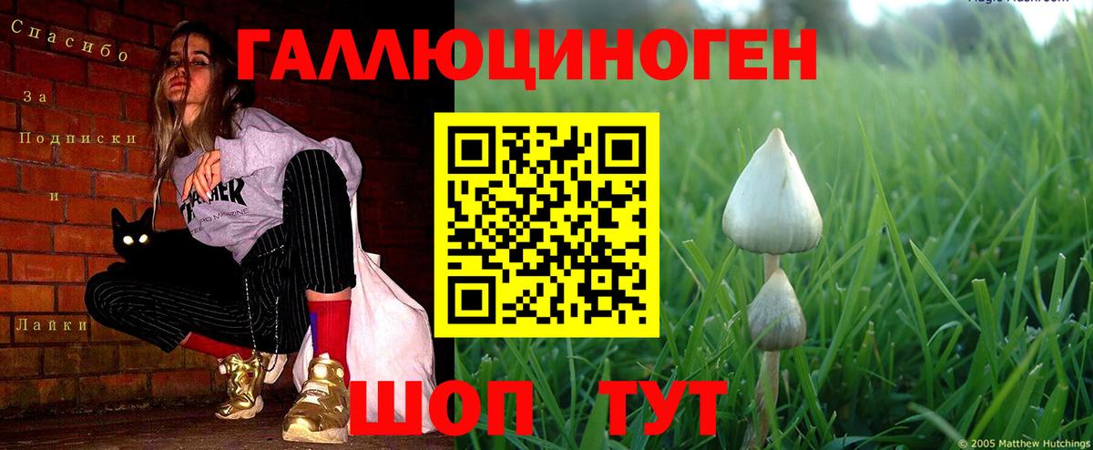 ГАШ Михайловск
